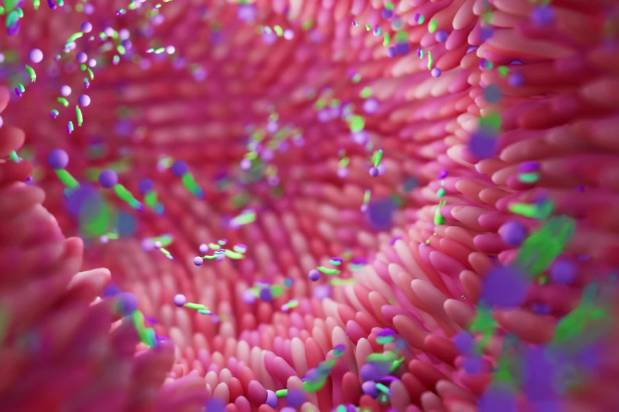 image representant la flore intestinale et les milliards de bacteries qui y habitent.
