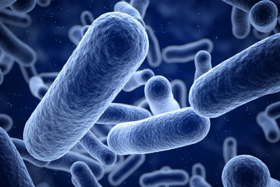 image representant des bacteries. microbiote et sommeil