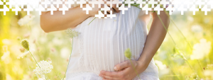 Femme enceinte. microbiote et fertilite