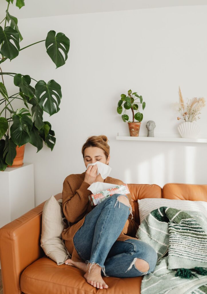 Microbiote intestinal et allergies saisonnières mesures préventives